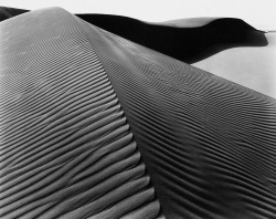 Oceano Dunes, California photo by Brett Weston, 1947