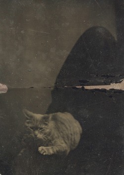 [Late 19th century “concealed mother” portrait] via FiestyEily’s