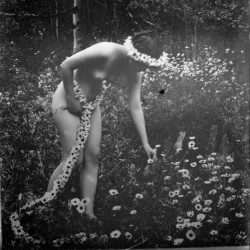 vintague:  A nude woman picking flowers in the meadow ,wearing