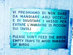 “Invasion of Birds” • McDonald’s - Verona