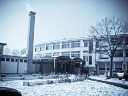 Liceo Scientifico E. Curiel - Padova (Italy) - Ph. Paolo Crivellin