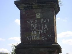 le-creepy-pasta:  WHO PUT BELLA IN THE WITCH ELM is a graffiti