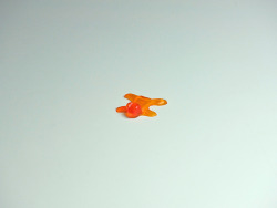 mikaslam:  brockdavis:  Gummy Bearskin rug  WHY AM I LAUGHING