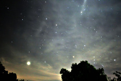 trisomy:  Perseid Showers On Dark Night Sky (by deepintheforestcat)