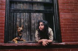 NY photo by Helen Levitt, circa 1970s