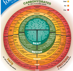 tumblrgym:  A helpful guide for what to eat and what not to eat.