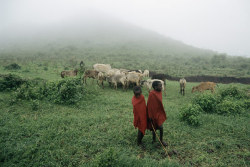 sanspower:  Two Ariaal boys herd cattle in northern Kenya. The