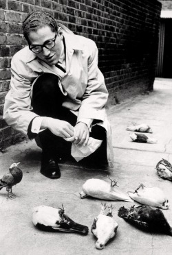  You’re Not Eating Tom Lehrer by Norman Parkinson, 1959