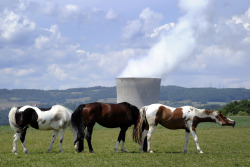 Nuclear plant - Leibstadt, Switzerland  The farmland of the