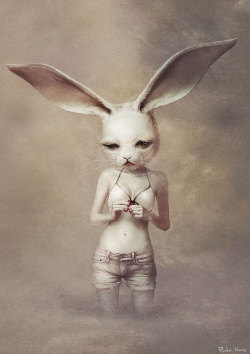 inkwings:  by Ryohei-Hase 