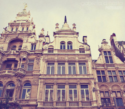 Antwerp, Belgium (by Gabriela Da Costa)