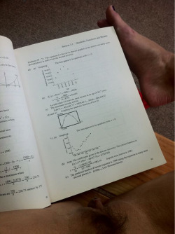 NSFW: Finding grammatical errors in a precalculus textbook. The data APPEARS to be quadratic, not appear. Sheesh.