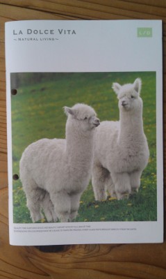 that’s right, I now have an alpaca notebook. finally home