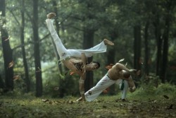 808surfnsk8:  Capoeira I wanna learn 