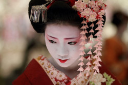 gdolly:  flower / people / portrait / face / japanese / beauty :