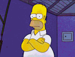 fuckyeahspringfield:  Homer doesn’t approve.  