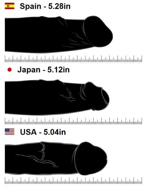 Penis Size 