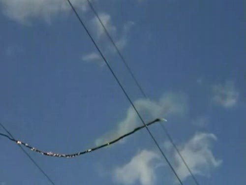 biglawbear:  laurenocuma:  brivonnet:  What happens when a tree branch falls onto a powerline? Answer: Dramatic Annihilation Only 17 seconds long - stick to the end. Submitted by:  nonniebyrd  THAT IS BEAUTIFUL.  Did that shit…just explode rainbows?!