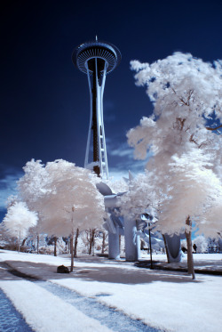 seattlechillin:  crowded-by-vacancy:  infared space needle  ohhhh