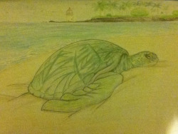 edscutechibigirl:  Here’s a picture of that turtle I was drawing