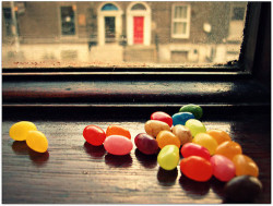 jelly beans