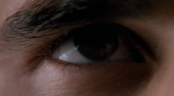 Matt Dillon eyes….