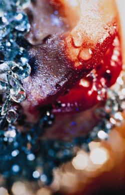 Bluest Tears photo by Marilyn Minter, 2004