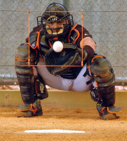 The bulge of a catcher.