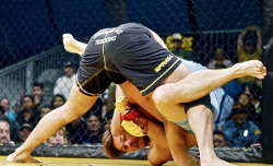 Cup bulge MMA style.