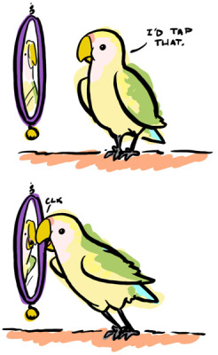 coelasquid:  This is how birds work. 