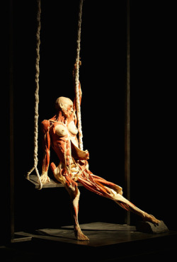 alecshao:  Gunther von Hagens 