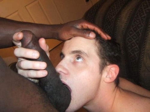 tumblr photo churchofthebigblackpenis 0