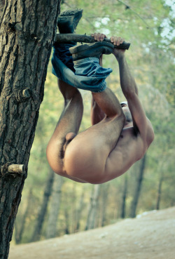 climbing tree