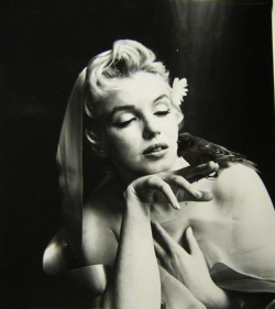vintagegal:  Marilyn Monroe by Cecil Beaton 1950’s 