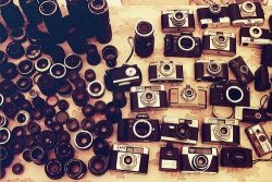 justbeyourself143:  vintage cameras <3 