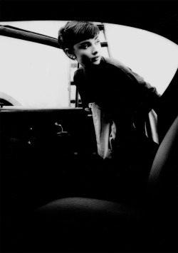Audrey Hepburn by Bob Willoughby; Paramount Studios, 1953