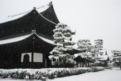  雪の建仁寺 (by nobuflickr) 
