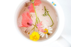 dietcokeandasmoke:  FLOWER TEA 