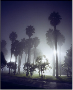 abbyjean:  Amanda Friedman, Los Angeles After Dark