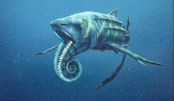 letfatestaynight:  wolyboly:  The Helicoprion was a shark-like