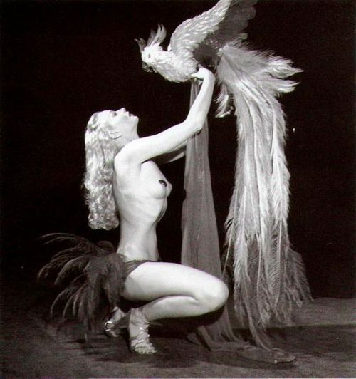 Early-period photo of Lili St. Cyr..