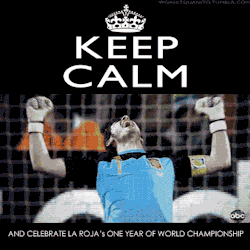 rafaeldasilvaa:  Keep calm and celebrate one year as WORLD CHAMPIONS