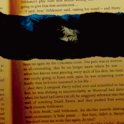  “I will say it again,” said Dumbledore, as the phoenix rose
