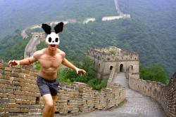 Panda Rabbit - Great Wall of China 2011 - Alexander Guerra