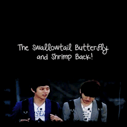 haehyukyumin:  The Swallowtail Butterfly and Shrimp Back :D 