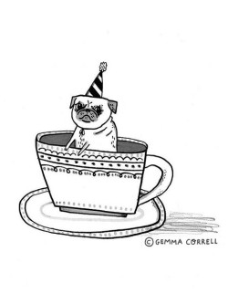 mugsofpugs:  Pug in a teacup by Gemma Correll 