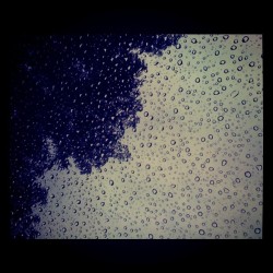 Rain drops (Taken with instagram)