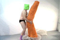 scrotumcoat