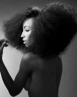 "Sensual Queens" Erotic Women Of Color