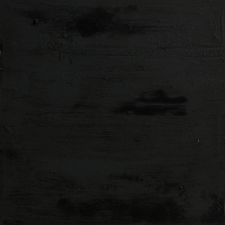    Black Lands, Oil color on canvas, 40 x 40 cm, Yanomano,